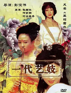 沉默的证词海报